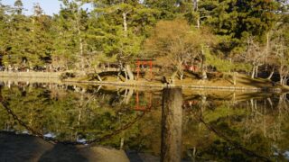 Safe, Legal, and Unforgettable: Why KANSAI DRIVING TOURS is 100% Compliant with Japanese Law