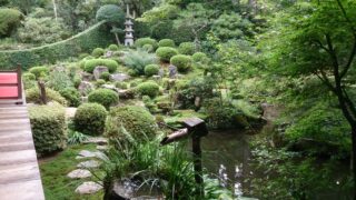 Discover Sanzen-in Temple: Hidden Beauty in Ohara, Kyoto 🌿