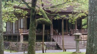 Discovering the Tranquil Beauty of Sanzen-in Temple in Ohara, Kyoto