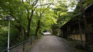 SPECIAL OFFER FOR OCTOBER TRAVELERSFREE 1-DAY PRIVATE DRIVE TOUR MONITOR WANTED!(2 Groups Only / $550 Value)